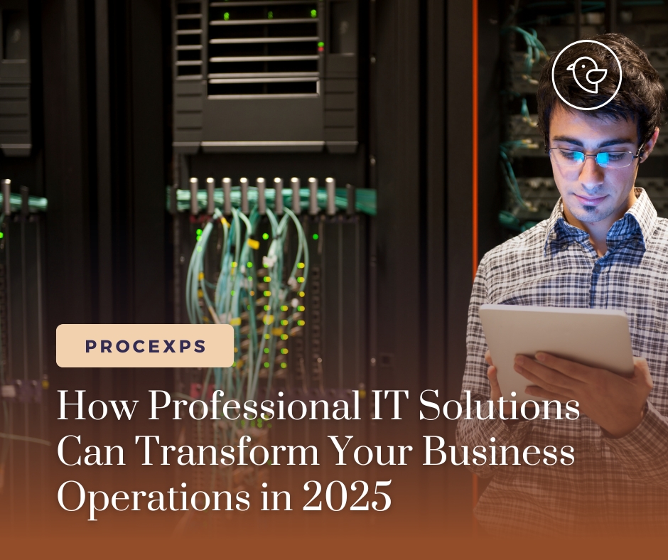 How Professional IT Solutions Can Transform Your Business Operations in 2025